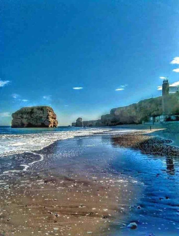 Cosy Haven Διαμέρισμα Σάουθ Σιλντς Εξωτερικό φωτογραφία